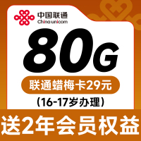 联通蜡梅卡29元80G